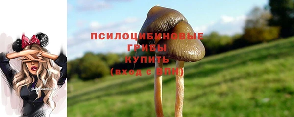 COCAINE Верея