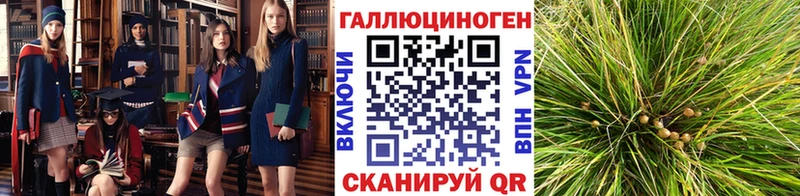 Псилоцибиновые грибы прущие грибы  блэк спрут как зайти  Рузаевка 