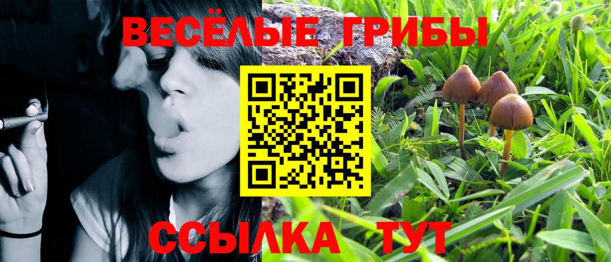 Псилоцибиновые грибы мухоморы Рузаевка