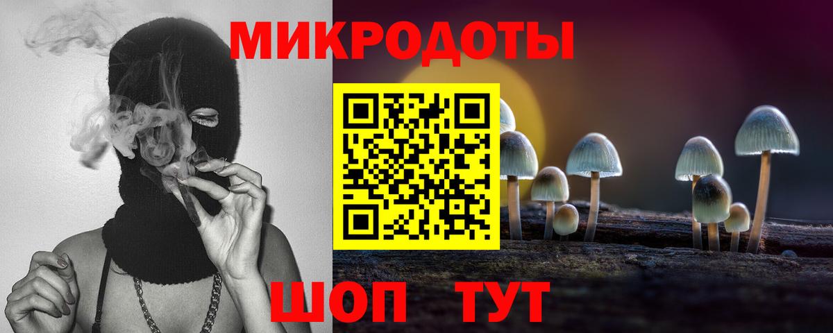 Псилоцибиновые грибы Psilocybe  Вход с VPN  Рузаевка  Галлюциногенные грибы Cubensis 